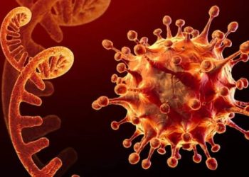 ბოტსვანაში აღმოჩენილი კორონა ვირუსის ახალი ვარიანტი ჯანმომ „შეშფოთების“ საგნად გამოაცხადა