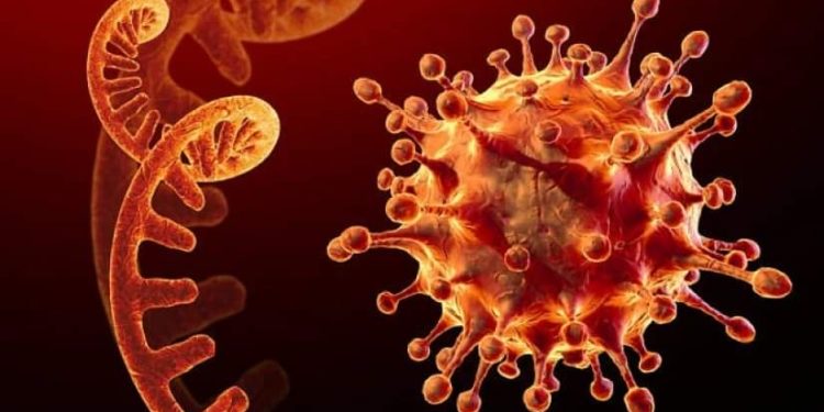 ბოტსვანაში აღმოჩენილი კორონა ვირუსის ახალი ვარიანტი ჯანმომ „შეშფოთების“ საგნად გამოაცხადა