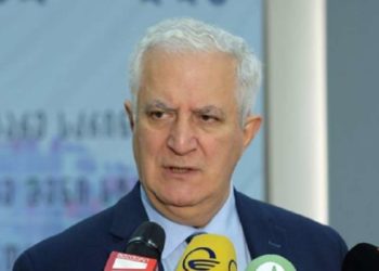 ამირან გამყრელიძე: ვნახოთ, როგორ იმუშავებს ქვეყანაში „მწვანე პასპორტის“ ინიციატივა, ამის მიხედვით, შეიძლება, არეალის გაფართოებაზე ვიფიქროთ