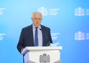 საქართველოში მოქმედებს ორი „მწვანე პასპორტი“, შიდა და გარე მოხმარების – ამირან გამყრელიძე