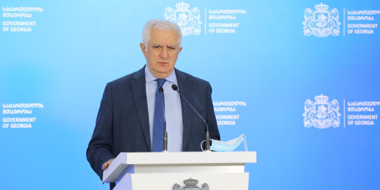 საქართველოში მოქმედებს ორი „მწვანე პასპორტი“, შიდა და გარე მოხმარების – ამირან გამყრელიძე