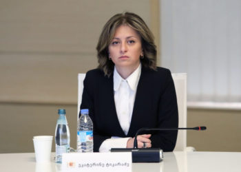 საქართველოსნაირი ქვეყანა მსოფლიოში მეორე არ არის, განსაკუთრებულები ვართ უვადო მწვანე პასპორტითაც – ტიკარაძე