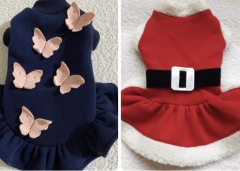 “ცუგო” – თანამედროვე ტანსაცმელი თქვენი ძაღლებისთვის