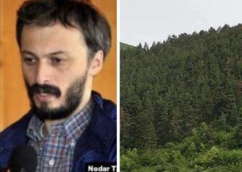 “ჩვენს ქვეყანაში ტყეების 95% არის ბუნებრივი, ევროპაში – დაახლოებით, 5%” – ეკოლოგი