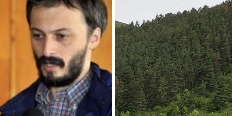 “ჩვენს ქვეყანაში ტყეების 95% არის ბუნებრივი, ევროპაში – დაახლოებით, 5%” – ეკოლოგი
