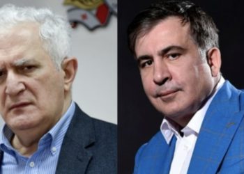 გამყრელიძე: დაჟინებით მოვუწოდებ ბატონ მიხეილს, შეწყვიტოს შიმშილობა