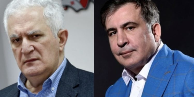 გამყრელიძე: დაჟინებით მოვუწოდებ ბატონ მიხეილს, შეწყვიტოს შიმშილობა