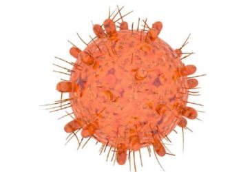 ევროპაში, სამხრეთ აფრიკაში გამოვლენილი კორონავირუსის ახალი ვარიანტის გავრცელების პირველი შემთხვევა დაფიქსირდა