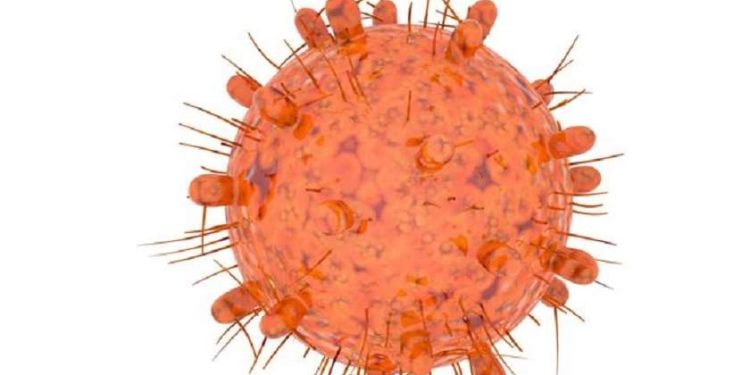 ევროპაში, სამხრეთ აფრიკაში გამოვლენილი კორონავირუსის ახალი ვარიანტის გავრცელების პირველი შემთხვევა დაფიქსირდა