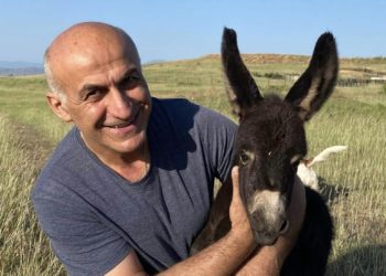 ათასობით განკურნებული ბავშვი და ზრდასრული – რა თვისებებით ხასიათდება სახედრის რძე