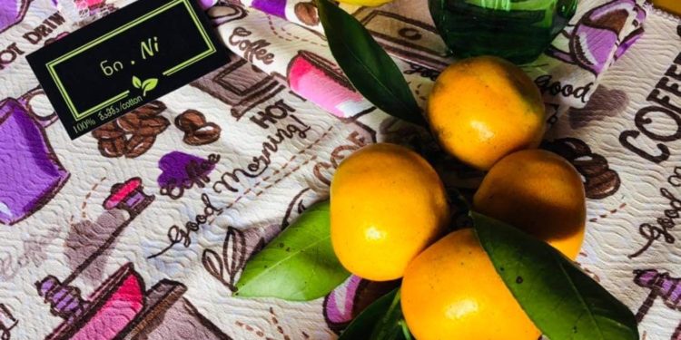 მაღალმთიან სოფელში მდებარე სახელოსნო – “რთულია მსგავსი საქმიანობა, როდესაც 120-130 კილომეტრი უნდა გაიარო, რომ მასალები მოიძიო”