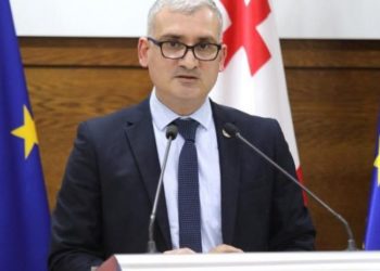 ზოგიერთ ქვეყანაში ღამის კლუბი გახსნეს, ოღონდ აკრძალულია ცეკვა – ღიბრაძე