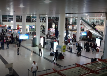 საქართველოში დაბრუნებულ 100 მიგრანტს გრანტი გადაეცემა