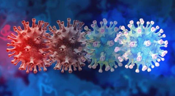 საფრანგეთში Covid-19-ის ახალი ვარიანტი აღმოაჩინეს