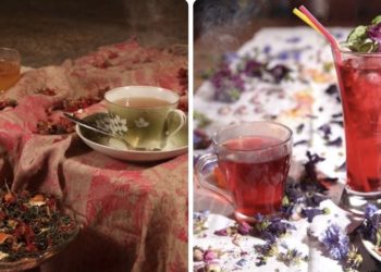 “კონა” – ველურად შეგროვებული და ეგზოტიკური ინგრედიენტების ერთობა