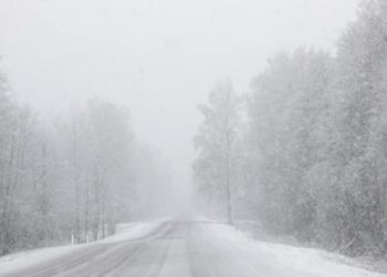 მოსალოდნელია ძლიერი თოვა, ნისლი და ქარბუქი – გაფრთხილება