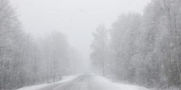 მოსალოდნელია ძლიერი თოვა, ნისლი და ქარბუქი – გაფრთხილება