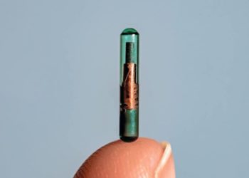 iPlus: კანქვეშა ჩიპებს აღარ შემოვიტანთ