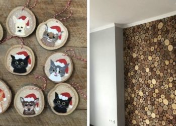 ხის რგოლები, რომლებიც  ინტერიერს სიმყუდროვეს მატებს