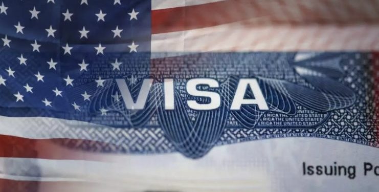 „ვაკვირდებით რამდენად არის მზად საქართველო სავიზო რეჟიმის შემსუბუქებისთვის“ – აშშ-ის ელჩი