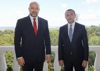 უკრაინის პრემიერის ტექსტი, რომელიც ქართულადაა დაწერილი, ბევრ ეჭვს მიჩენს – ზალკალიანი 