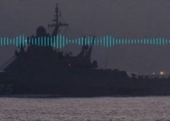 “რუსულ ხომალდს: “Иди на х*й!” როგორ გაიგე?” – კუნძულის გარნიზონი ოკუპანტებს არ დანებდა  