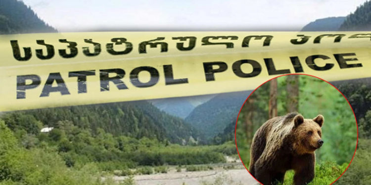 რაჭაში დათვმა მონადირე მოკლა