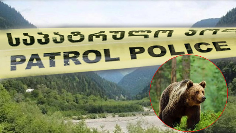 რაჭაში დათვმა მონადირე მოკლა