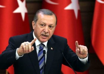 ერდოღანი გმობს და “მიუღებელს” უწოდებს რუსეთის შეჭრას უკრაინაში