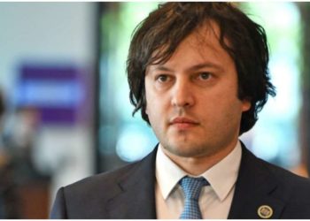 🇬🇪 🇪🇺 საქართველოს მთავრობა ევროკავშირის წევრობაზე განაცხადს აკეთებს