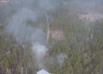 კიევის მიმდებარედ რუსული საოკუპაციო ძალების კოლონა განადგურდა 