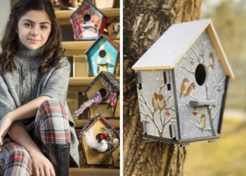 იდეა, რომელიც 10 წლის ასაკში გაჩნდა – კრეატიული და შემეცნებითი სათამაშოები