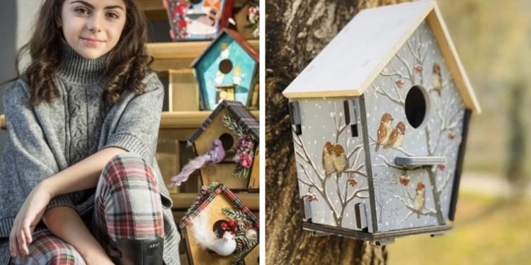 იდეა, რომელიც 10 წლის ასაკში გაჩნდა – კრეატიული და შემეცნებითი სათამაშოები