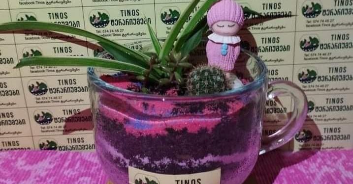 Tinos ტერარიუმები – მცენარეებისა და ბუნებრივი აქსესუარების ერთობლიობა