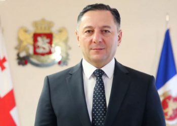 გომელაური –  საზღვრის 100%-იანი დაცვა არავის აქვს, ავიღოთ თუნდაც მექსიკა-ამერიკის საზღვარი  