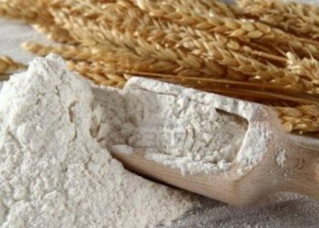 “ხორბლით უზრუნველყოფილები ვართ, ფქვილიც შემოვიდა” – მალხაზ დოლიძე