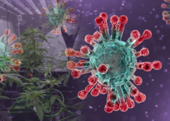 „ომიკრონის“ ქვეტიპი BA.2 რეკორდული სისწრაფით ვრცელდება 