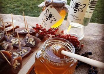 ფუტკრის სწორი მოვლა-პარტრონობა განაპირობებს ჯანსაღი პროდუქტის შექმნას – „გოლეულა“  