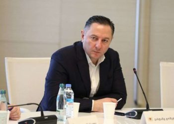 ვახტანგ გომელაური –  საზღვარი ძალიან მაღალ დონეზე კონტროლდება 