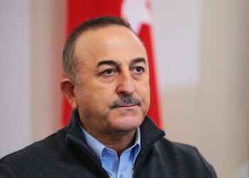 “მსოფლიოს რომ სათანადო პასუხი გაეცა ყირიმის ანექსიაზე, დღეს ამ მდგომარეობაში არ ვიქნებოდით” – ჩავუშოღლუ  