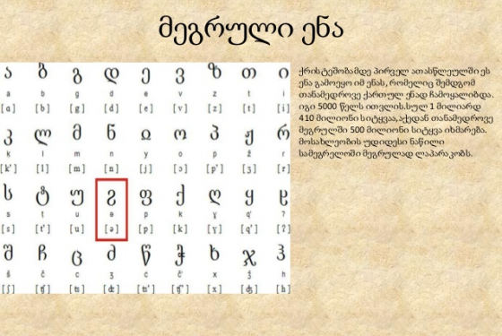 “მეგრულიც და სვანურიც ჩვენი საგანძურია” – რას ფიქრობენ ადგილობრივები