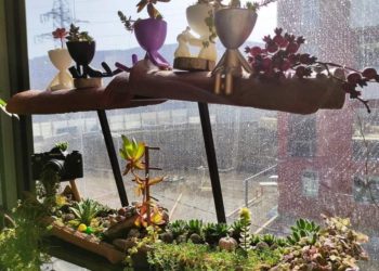 საკუთარი სივრცის გალამაზებით დაწყებული ბიზნესი – თეონა ფოფხაძის პერსონა