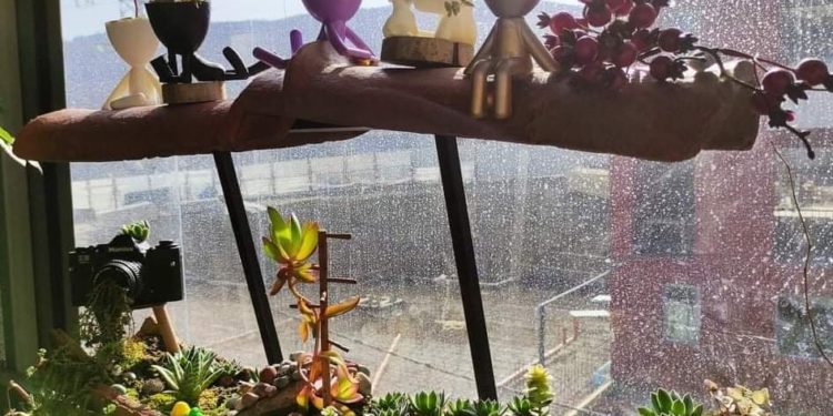 საკუთარი სივრცის გალამაზებით დაწყებული ბიზნესი – თეონა ფოფხაძის პერსონა