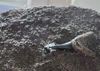 აღმოჩენა რაჭაში – რეგიონმა შესაძლოა, დამატებითი ისტორიული მნიშვნელობა შეიძინოს  