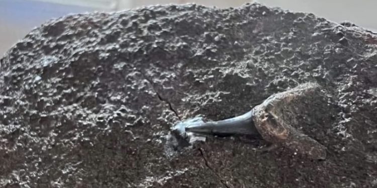 აღმოჩენა რაჭაში – რეგიონმა შესაძლოა, დამატებითი ისტორიული მნიშვნელობა შეიძინოს  