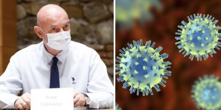 ჩხაიძე – „თაფლობის თვე“ აქვს ახლა პანდემიას