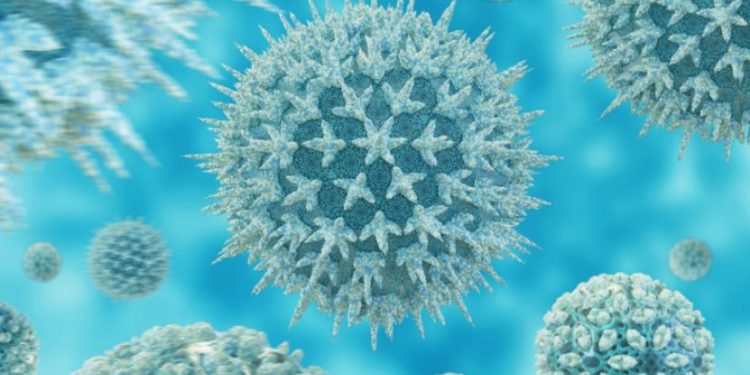 ჩინეთში ფრინველის გრიპის შტამ H3N8-ის მსოფლიოში პირველი შემთხვევა დაფიქსირდა