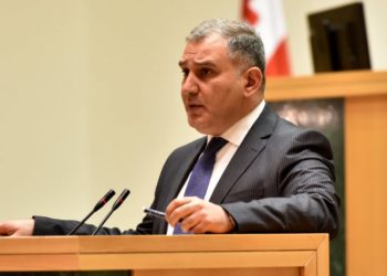 “სიამოვნებით შევუერთდები ბიძინა ივანიშვილის მხარდამჭერ აქციას, თუ ვინმე დააორგანიზებს” | სარჯველაძე