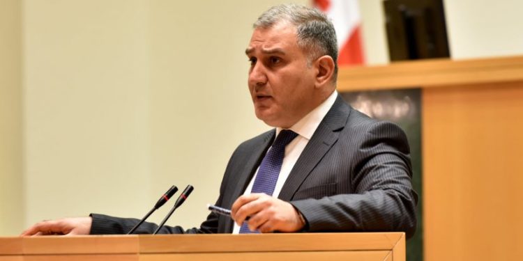 “სიამოვნებით შევუერთდები ბიძინა ივანიშვილის მხარდამჭერ აქციას, თუ ვინმე დააორგანიზებს” | სარჯველაძე