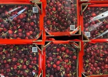 “აქცენტი გვაქვს, სექტემბერი-ოქტომბერი-ნოემბერში კიდევ იყოს საქართველოში ბალი” – გიორგი მელაძე